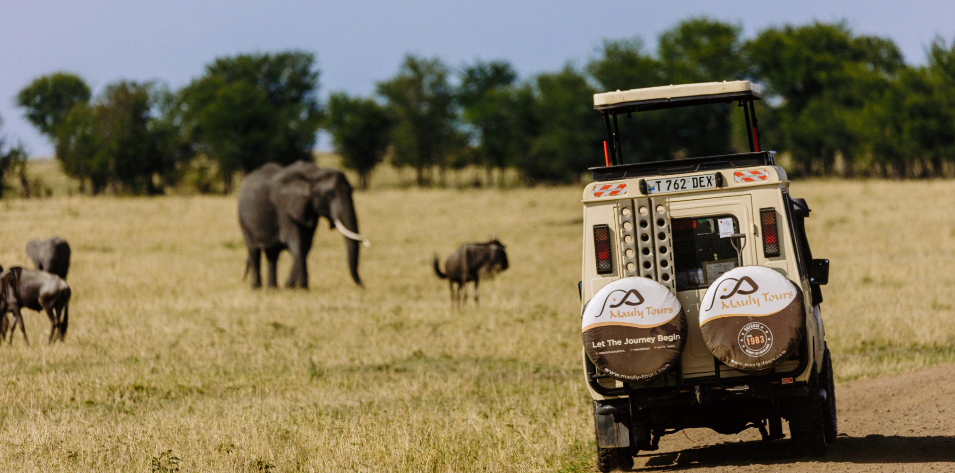 Wildbeast Migration Safari – Swahili Safaris